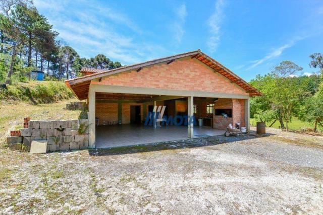 Chácara rural à venda, pacotuba, almirante tamandaré. - Foto 13