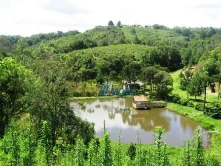 Chácara com 4 dormitórios à venda, 188368 m² por r$ 1.200.000,00 - colônia matos - mandiri - Foto 2