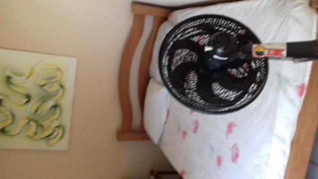 Alugo para Carnaval - Foto 4