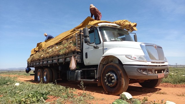 CAMINHÃO DURASTAR ANO 2012