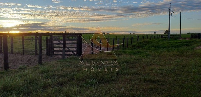 Fazenda - Guaraí - Guaraí - Foto 3