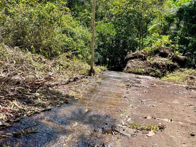 Lindo sítio em Santa Teresa com 4 hectares  - Foto 3