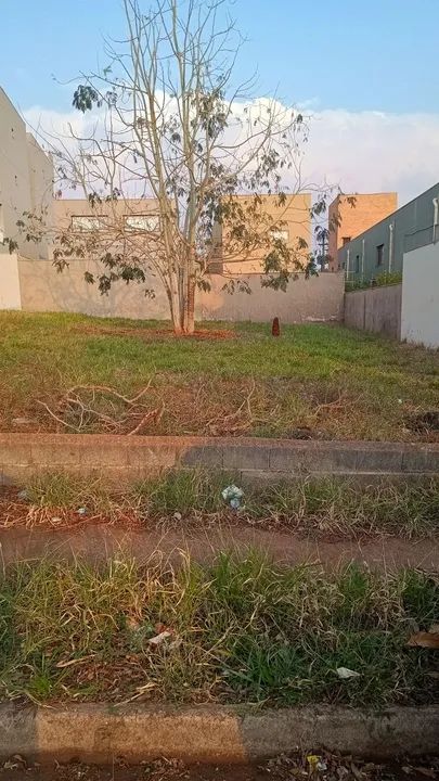 foto - Ribeirão Preto - Jardim Nova Aliança Sul