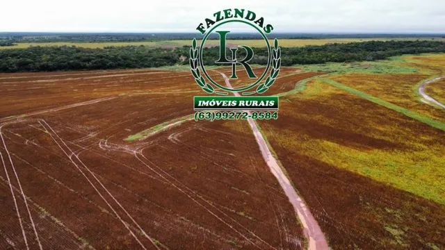 Fazenda 331 Alqueires Plantando - Foto 2
