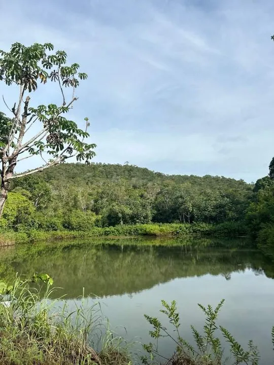 Chácara á Venda em Palmas Tocantins com 30,4188 ha 4 suítes e muita Água Há 11 km da Aveni