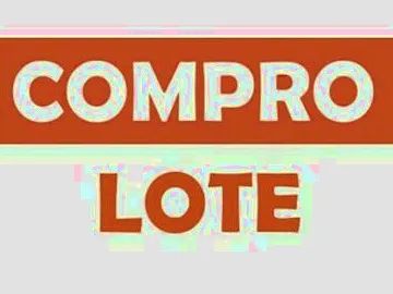 Lote de impressora laser computador e lote de informática