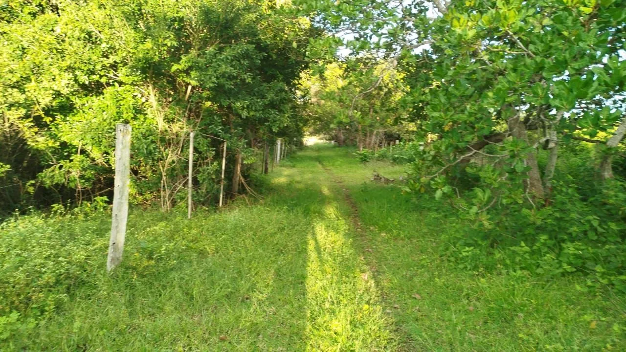 Área em Jangada