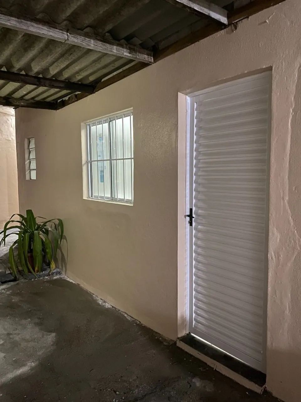 Foto - Manaus - Coroado