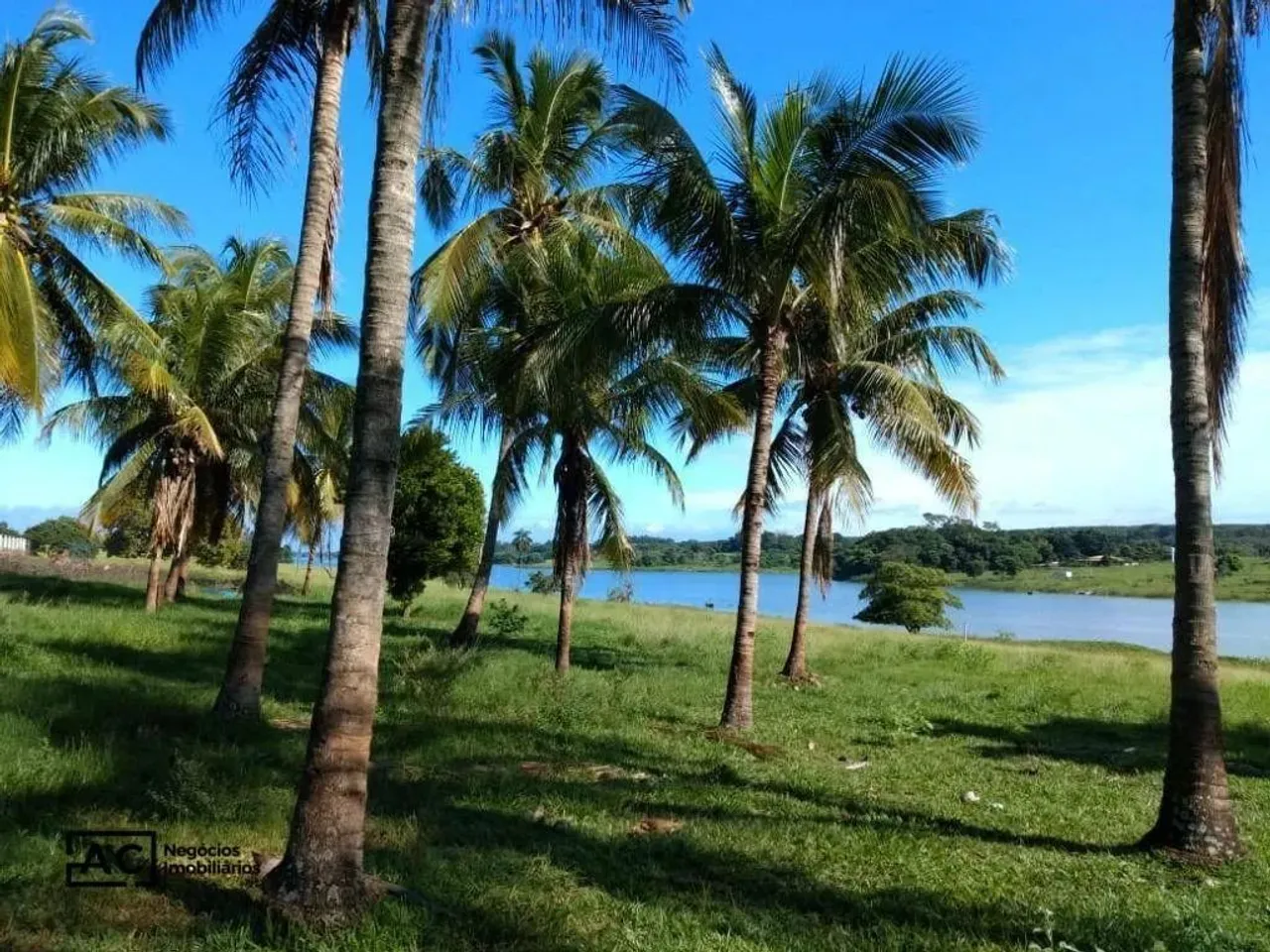 Sítio com 3 dormitórios à venda, 411400 m² por R$ 4.500.000,00 - Rubineia - Rubinéia/SP