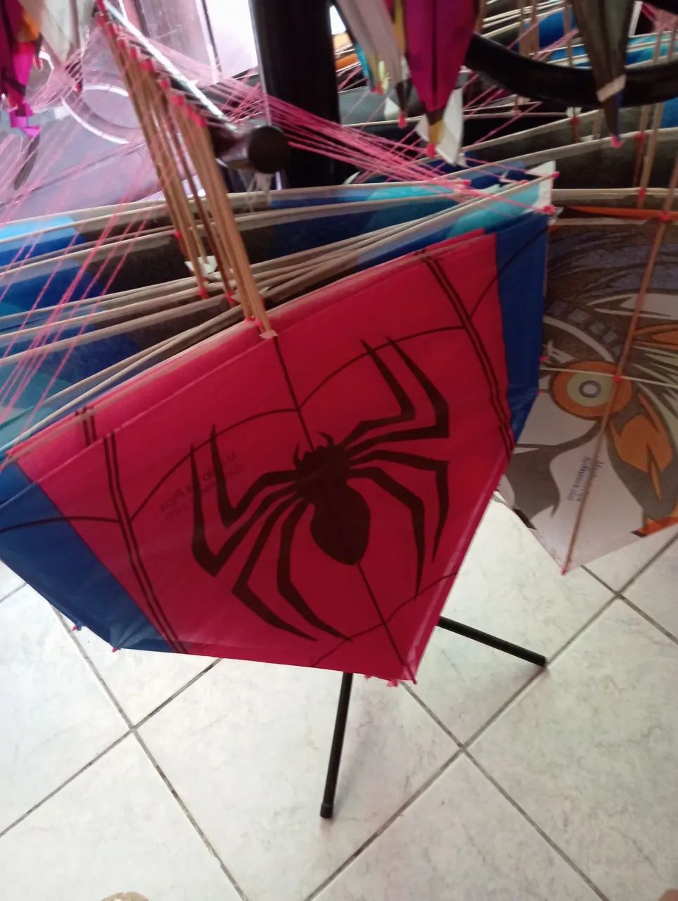 Magao da pipa  - Foto 6