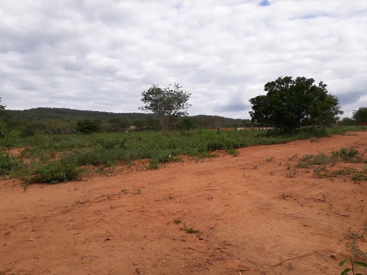 Terreno localizado na chácara Santa Rosa, Salobro PE 270
