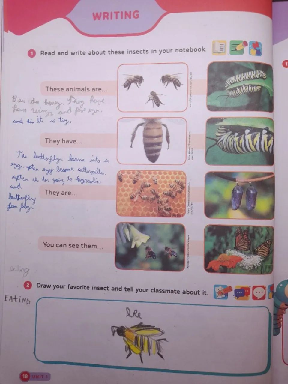 Livro de Inglês Smarty 5 Student's Book UDP - Foto 5