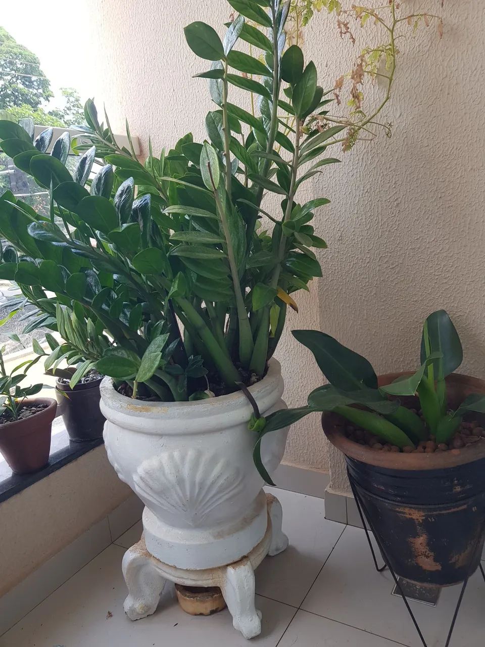 Vaso médio com planta natural adubado - Foto 3