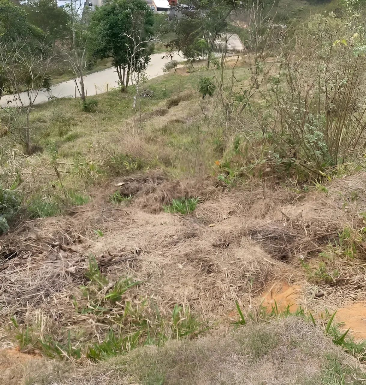 Imóvel para venda com 632 metros quadrados em Itaipava - Petrópolis - RJ - Foto 4