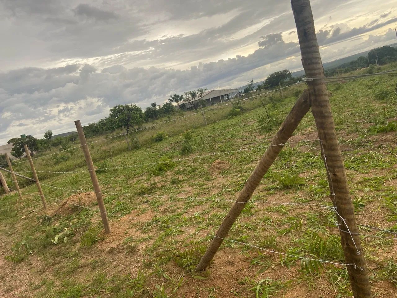 Lote de chácara setor sabiá ( alvorada ) 