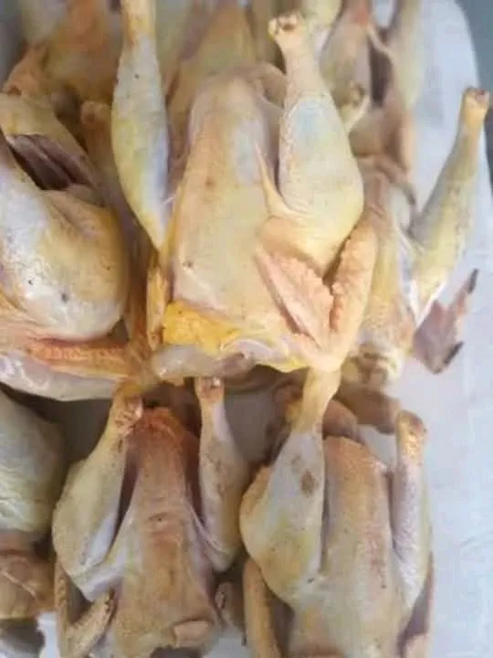 Frango Caipira Congelado - Qualidade Garantida!