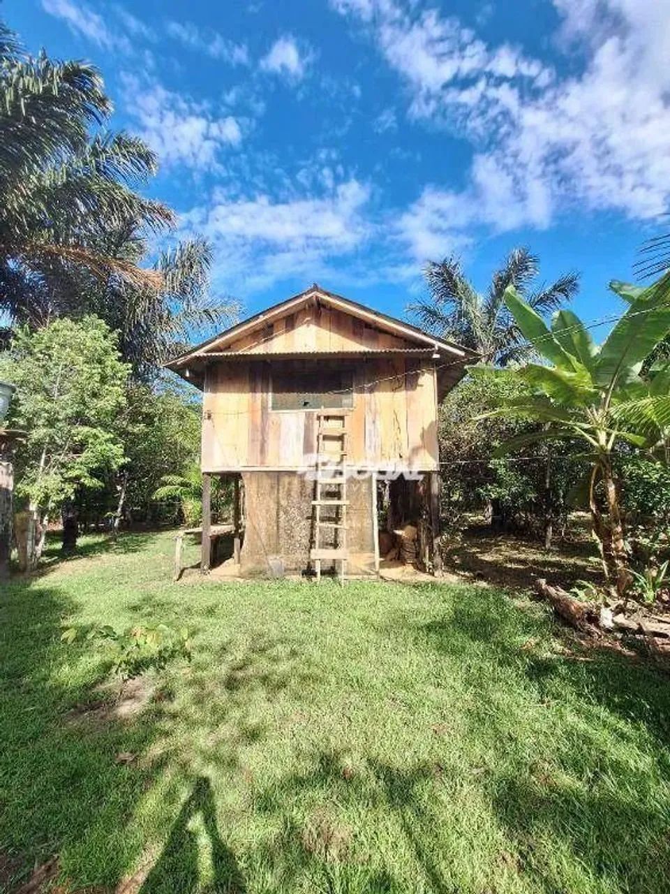 Sítio com 8 dormitórios à venda, 142500 m² por R$ 300.000,00 - Área rural de Canutama - Ca - Foto 5
