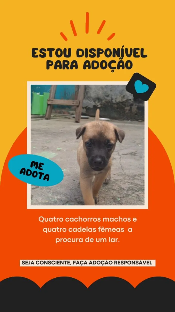 Adoção