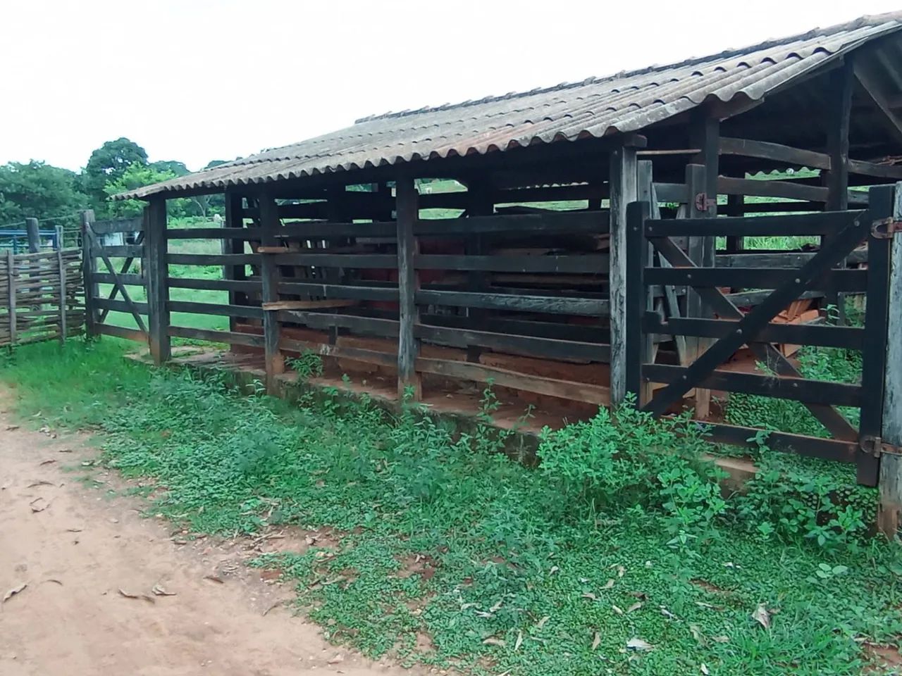 Sitio 1 Hectares Irrigado,Poço Artesiano/Caixa D'Água 50.000 Litros.. - Foto 6