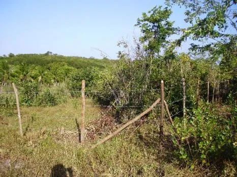 Terrenos em Pium de vários tamanhos e preços - Foto 5