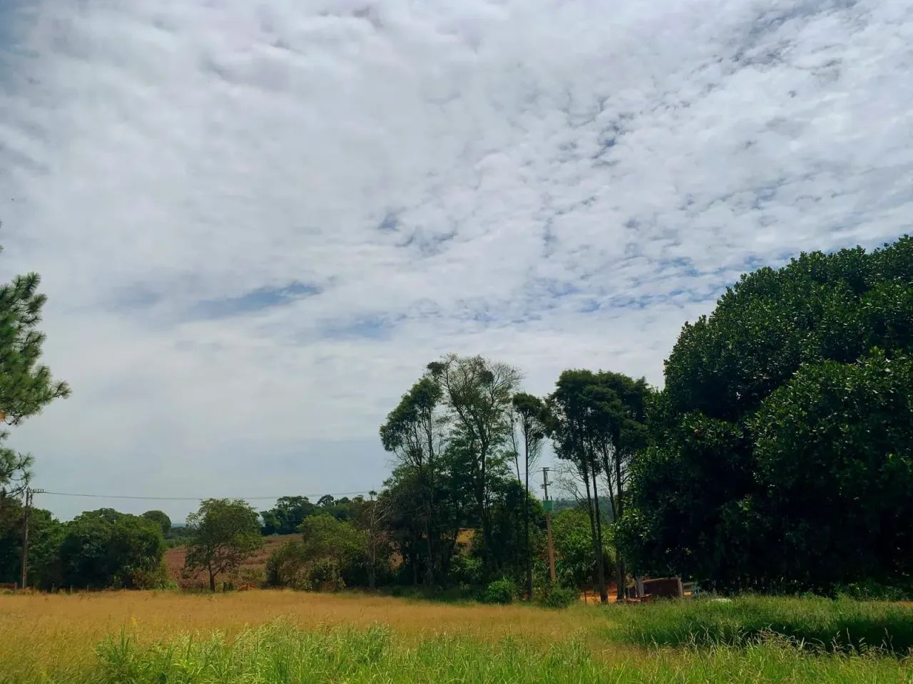 Natureza, segurança e lazer em um só lugar! - Foto 2