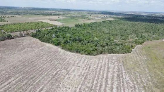 fazenda com 270 hectares próximo a Macaiba - Foto 2