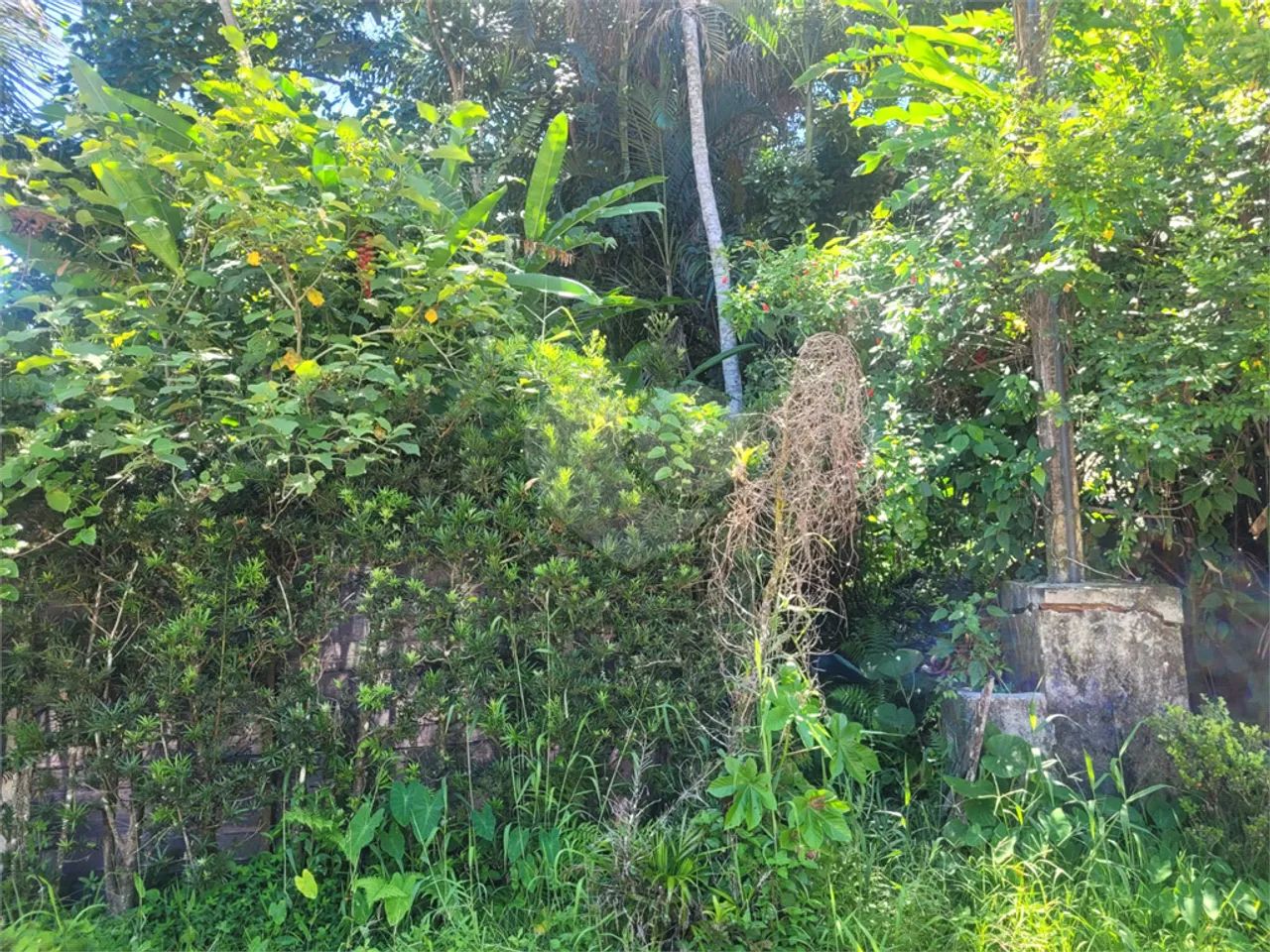 Terreno à venda em Costa do sol - SP - Foto 4