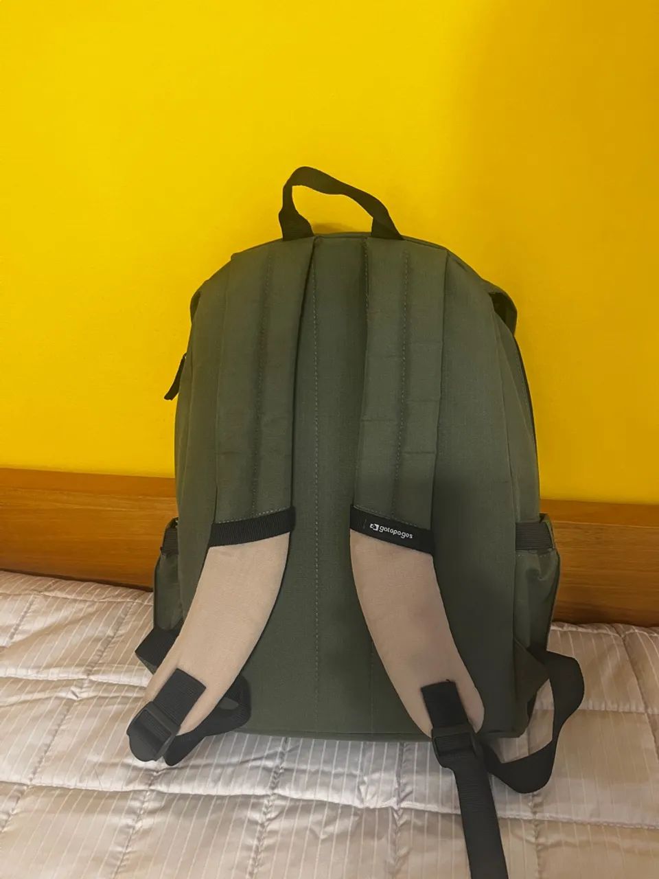 Mochila Galapagos Gaivota Verde  - Foto 2
