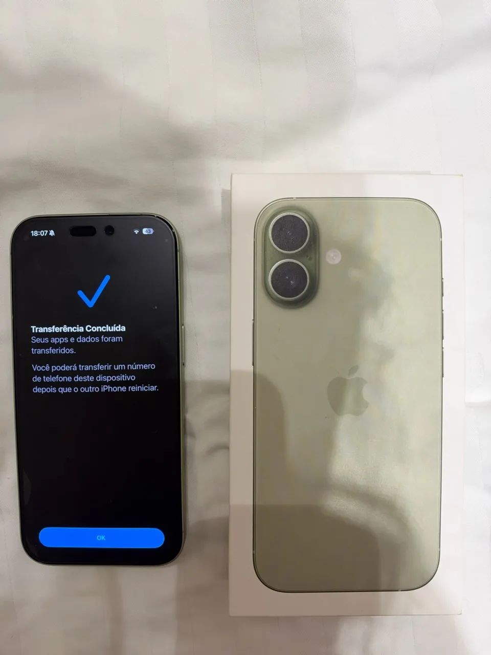 iPhone 17 Verde (Sálvia) | 256 GB | Impecável