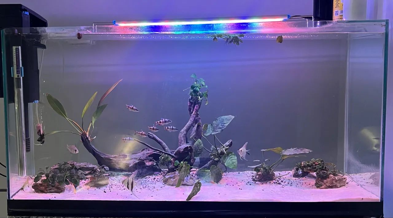 Aquario 125lts - Foto 4