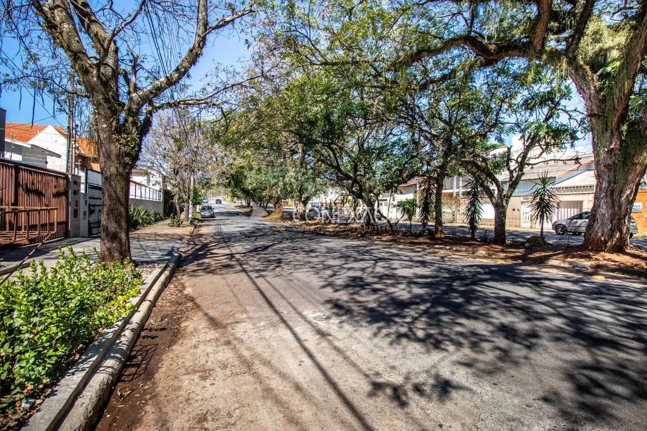 terreno - Jardim Paraíso - Campinas