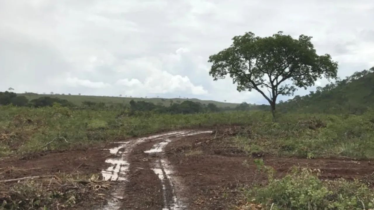 FAZENDA JOMA | PEIXE  TO - Foto 2