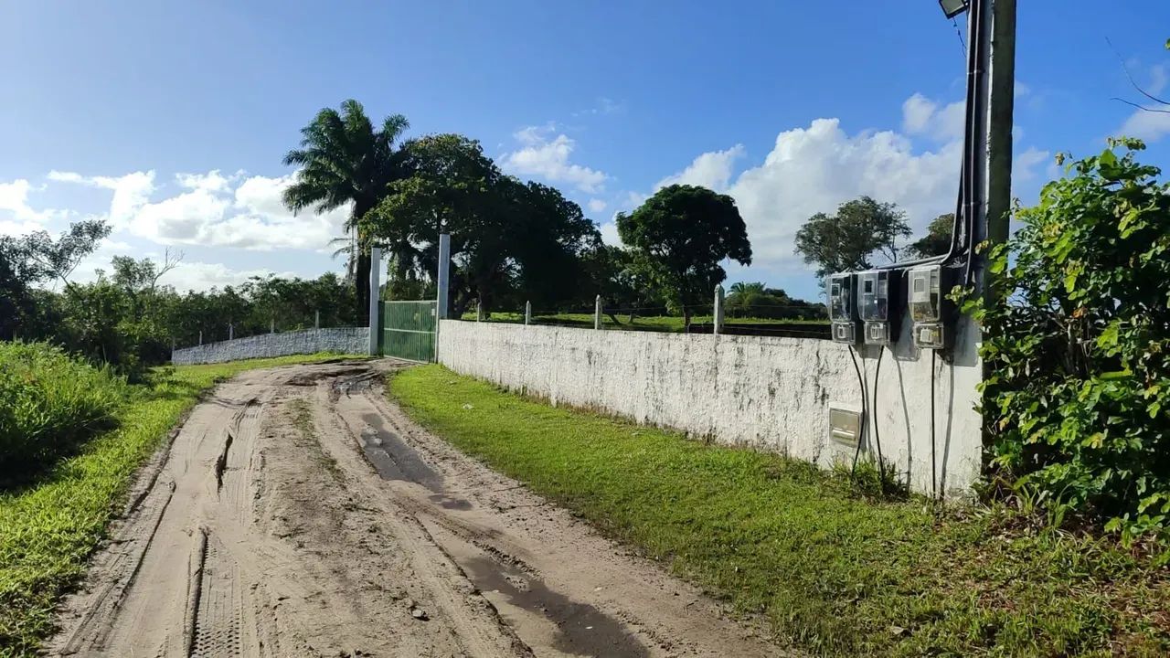  Área para viveiro de camarão - Foto 2