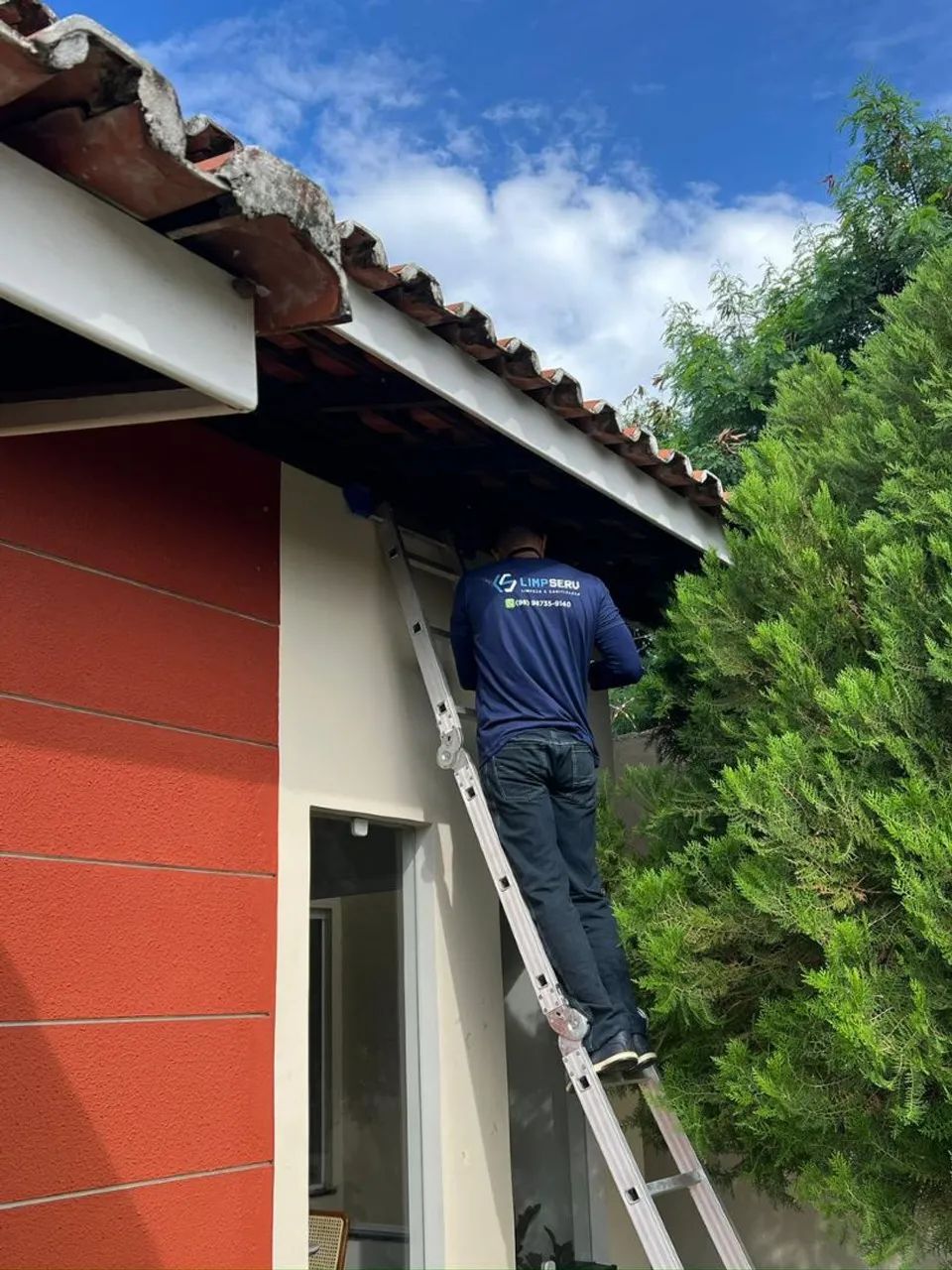 DETETIZACAO DE BARATAS, RATOS E CUPIM E OUTRAS PRAGAS.. - Foto 4