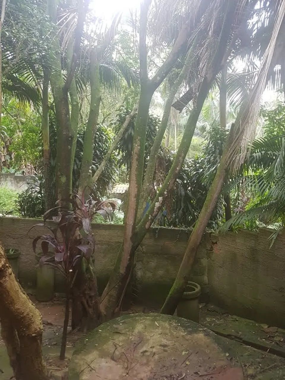 Casa de Condominio em Diadema
