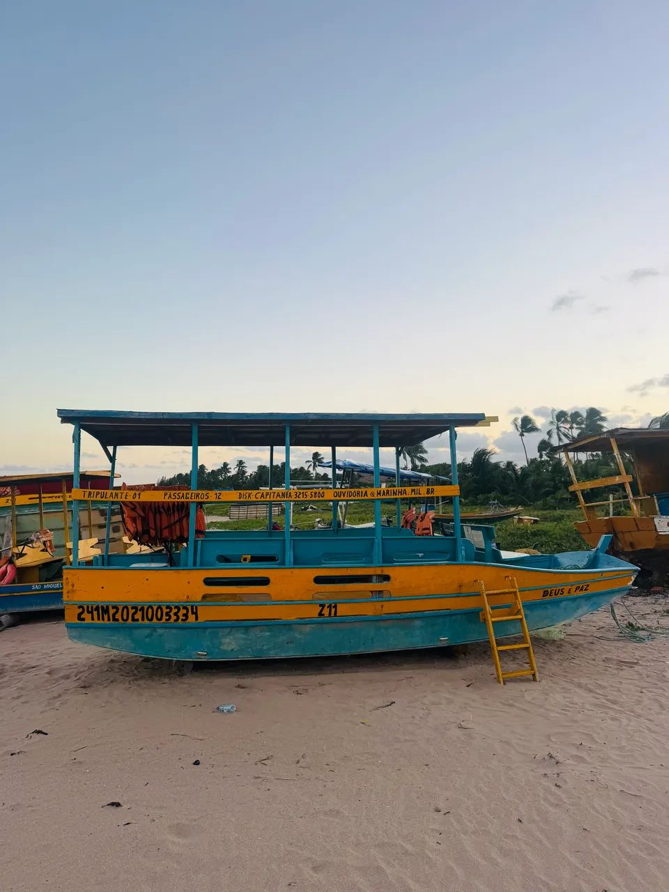 Barcos Jangada  - Foto 4