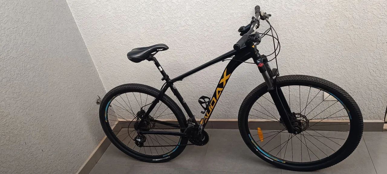Bicicleta Audax