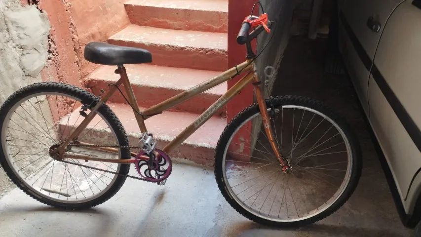 Bicicleta 1