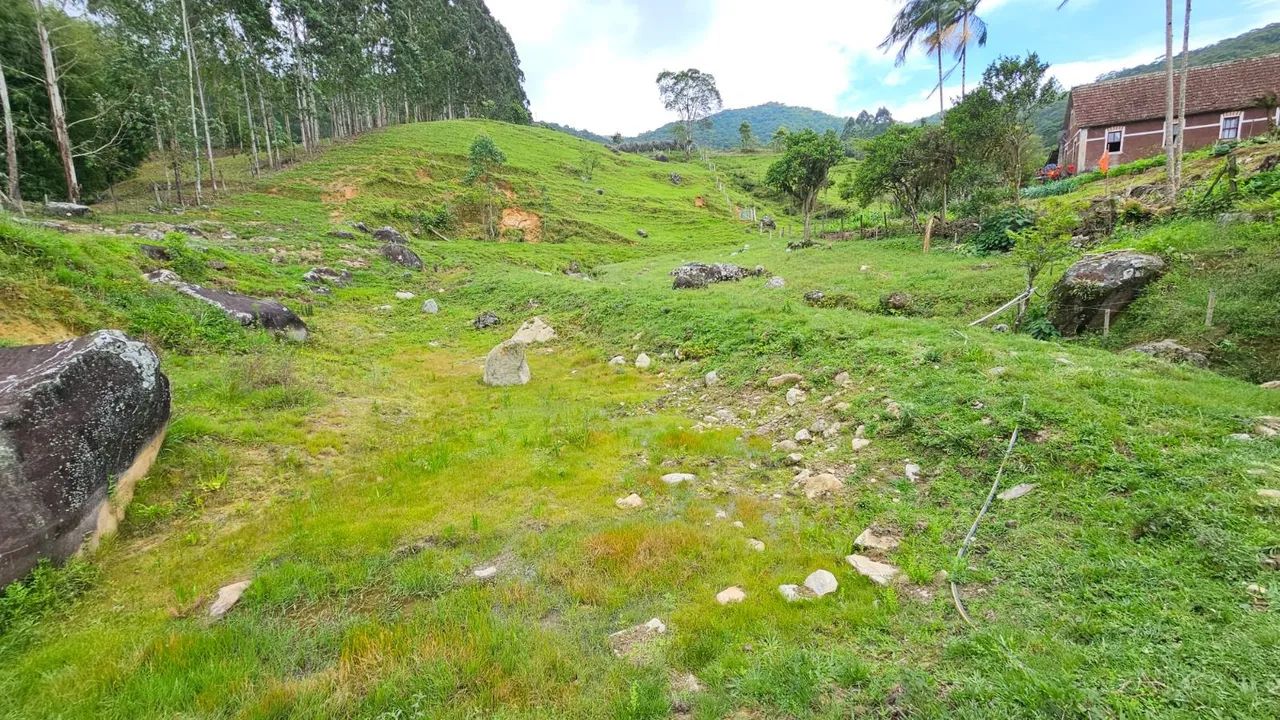 Sítio com cachoeira - Foto 4