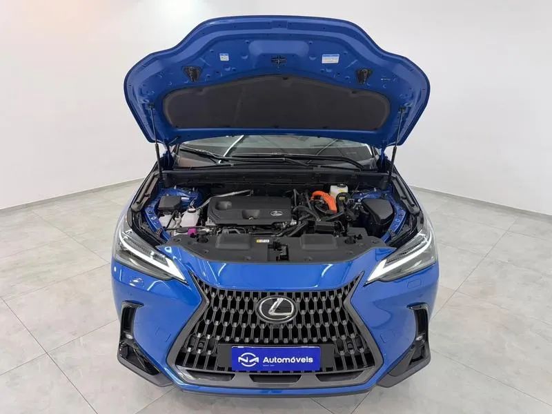 Lexus NX-350h Luxury 2.5 16V Aut. (hybrid), foto 19 de 20