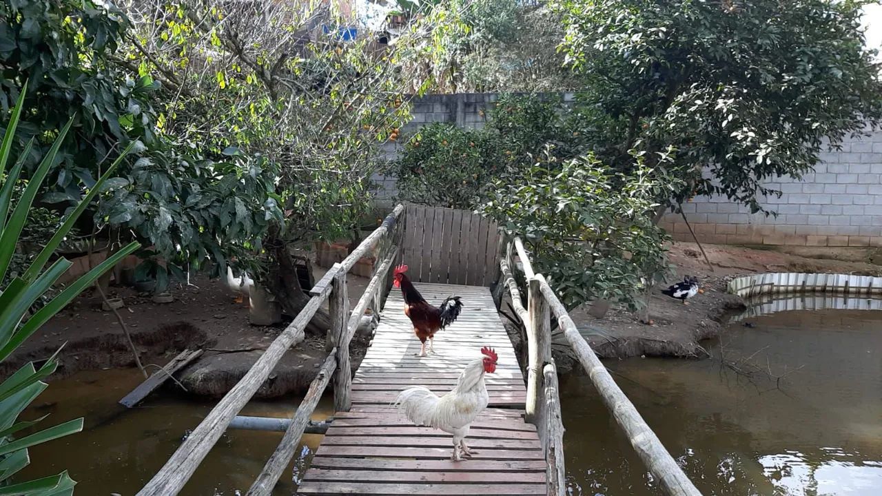    Sitio   Monteiro - Foto 2