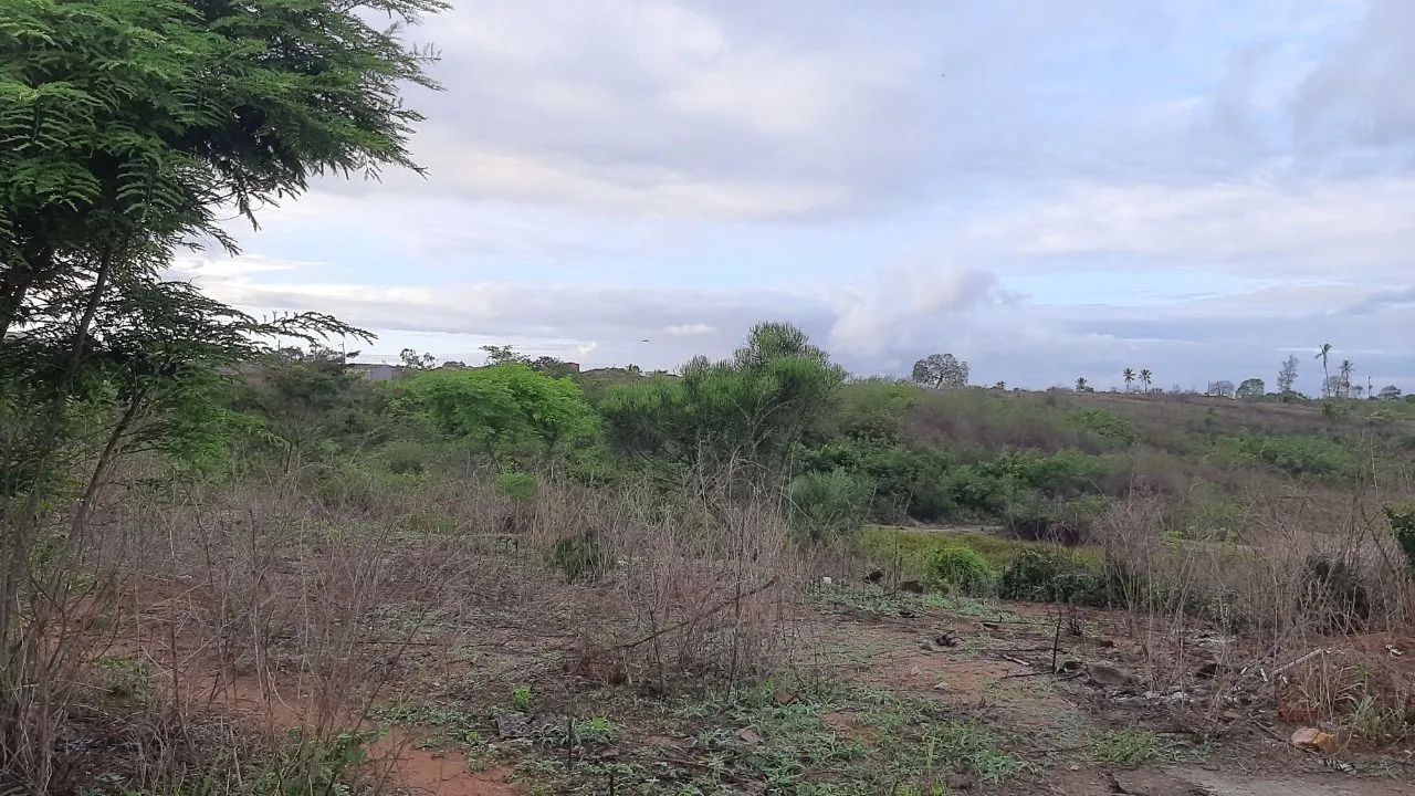 Terreno  - Foto 2
