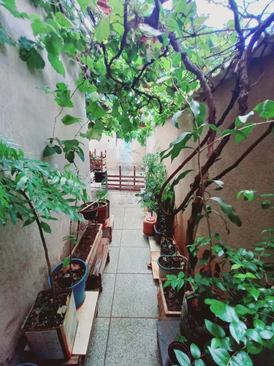 CASA NO DOM MIELLE - Foto 4