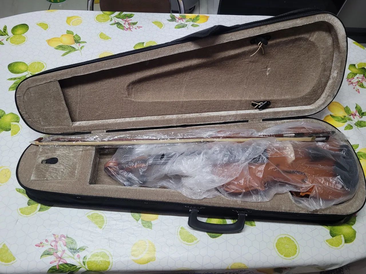 Violino Parrot  - Foto 5