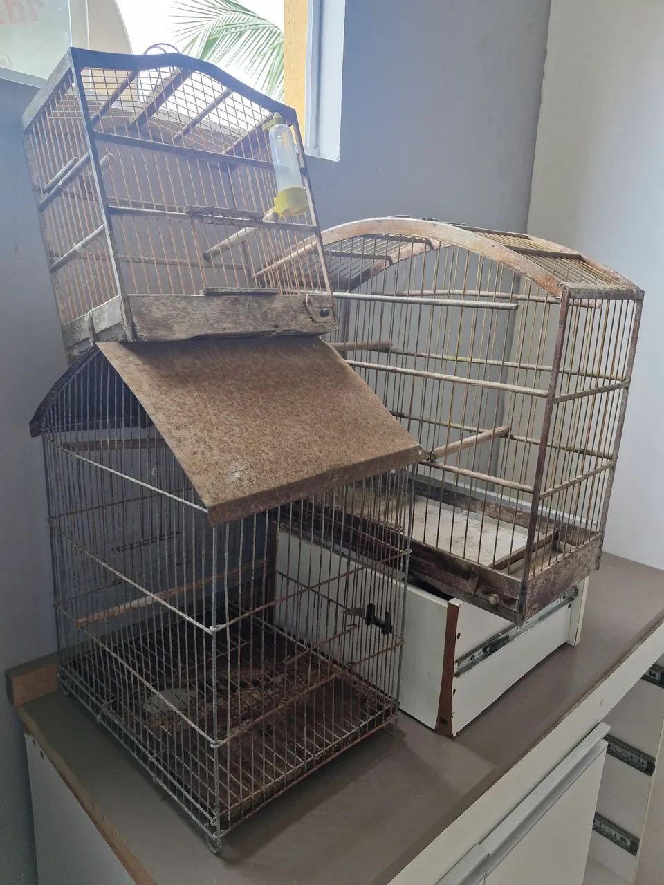 3 gaiolas por R$250,00 - Foto 2