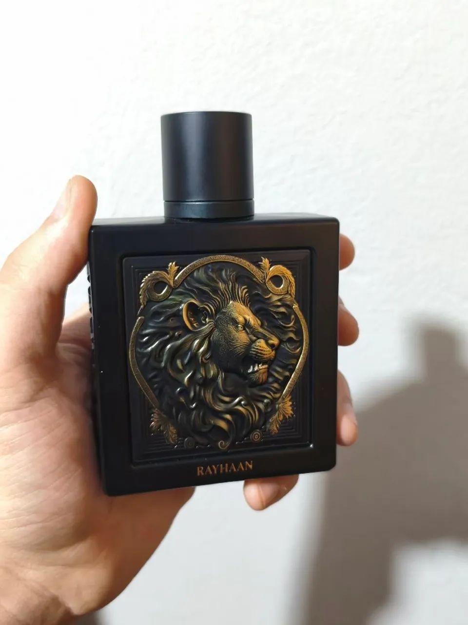 Rayhaan lion