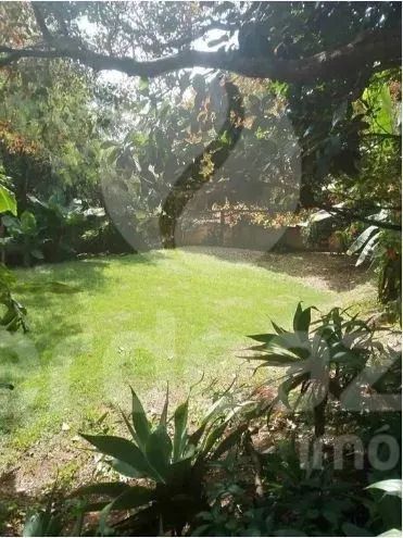 chácara - Jardim Itaguaçu I - Campinas - Foto 4