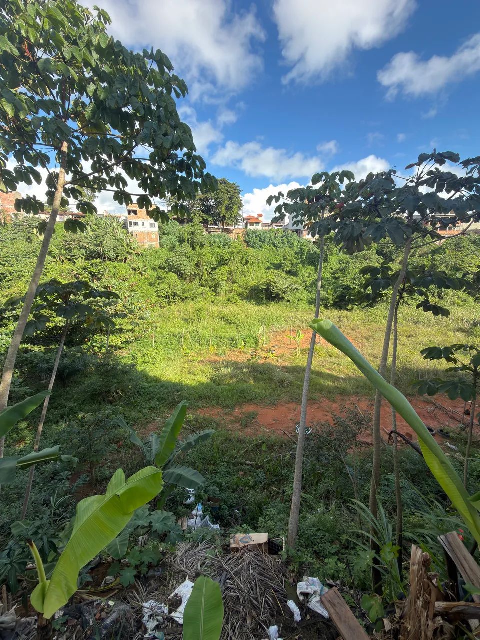 Terreno em Mussurunga II - Foto 4