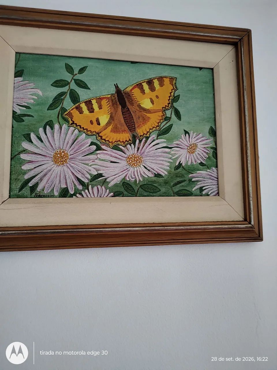 Produtos diversos, quadros, telefone, batedeira e discos - Foto 3