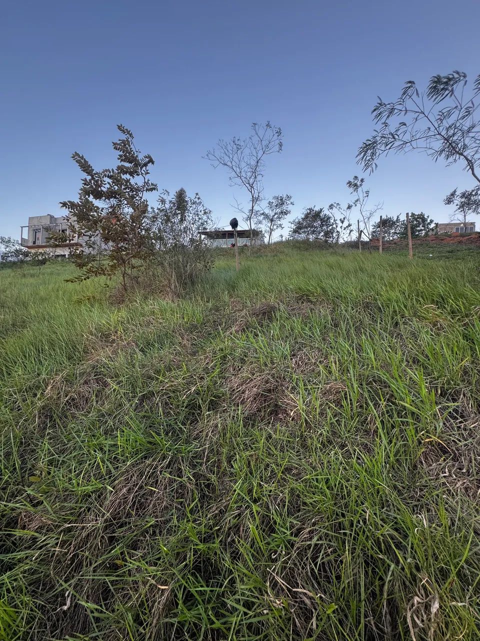 Terreno em Cantagalo  - Foto 2